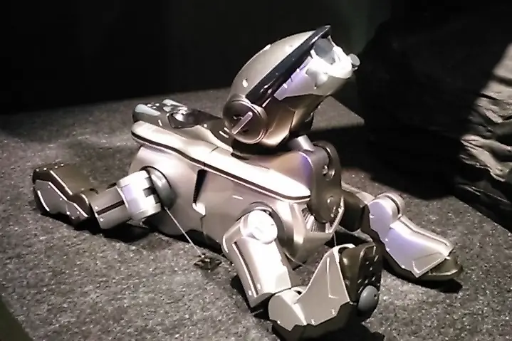 A silver AIBO ERS-220 lying on the floor